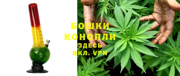 2c-b Богородицк